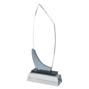 Executive Crystal Shield